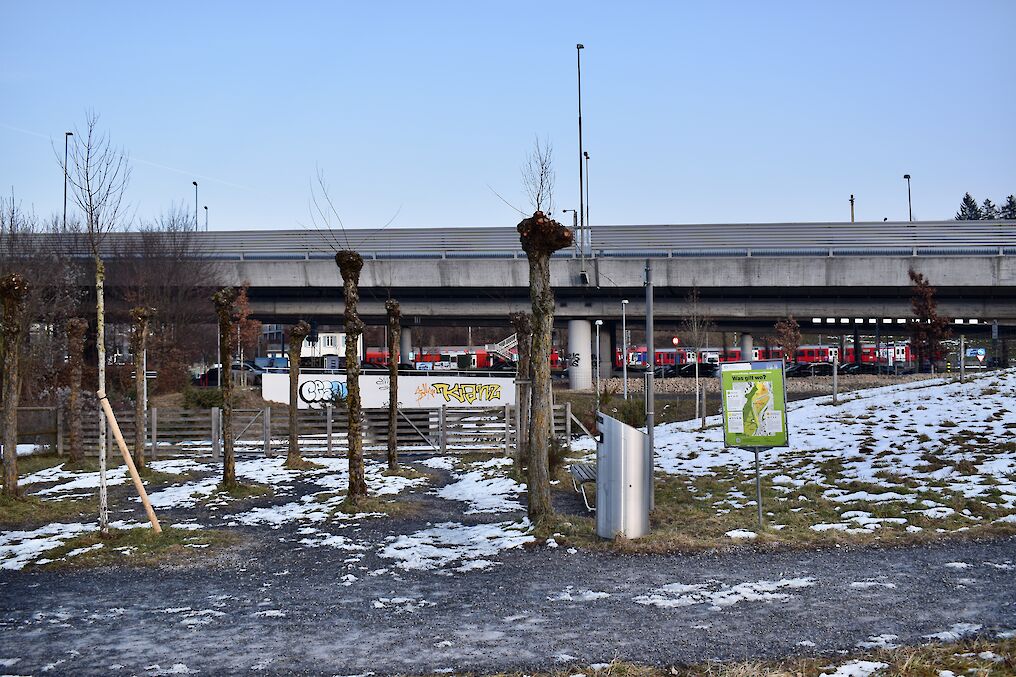 Blick von der Allmend: Heute endet die Allmend am Hag, früher reichte sie bis zur Allmendstrasse neben der Sihltalbahn im Hintergrund. (Foto: weingartenexpo)