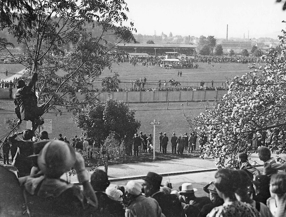 Zuschauer verfolgen die Pferderennen vom Muggenbühl Hügel (Foto: Gottfried Gloor, BAZ)