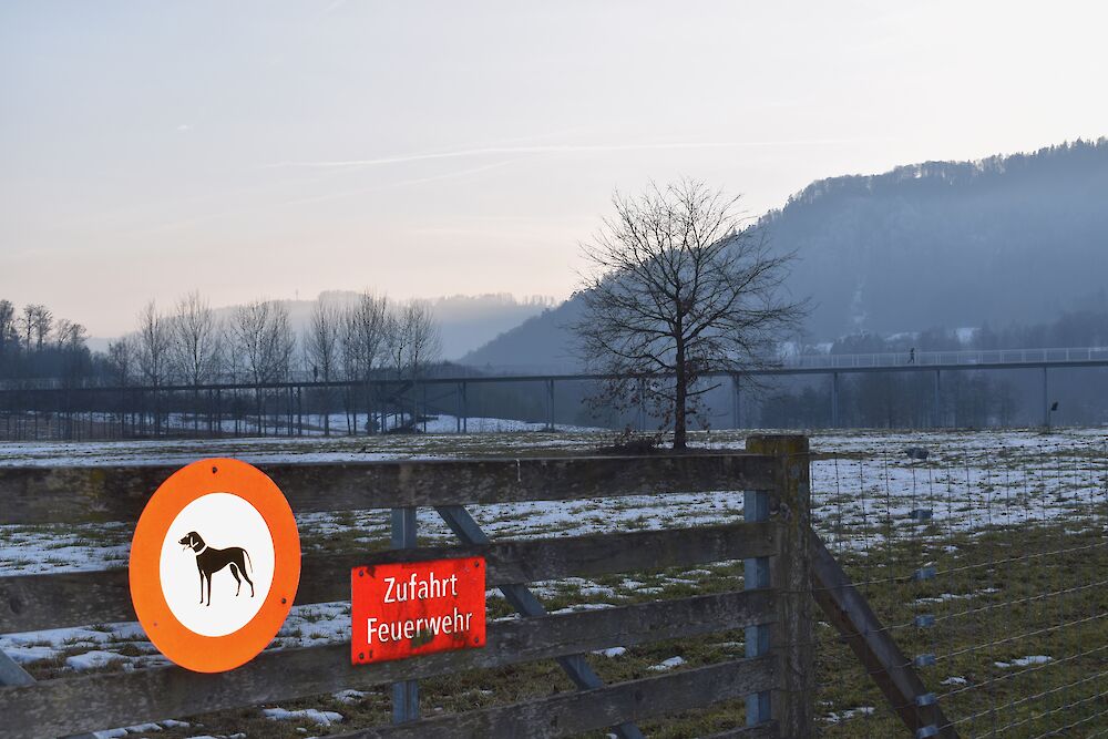 Die Hundeverbotszone zwischen Autobahn, Sihlkanal und Sihl. (Foto: weingartenexpo)