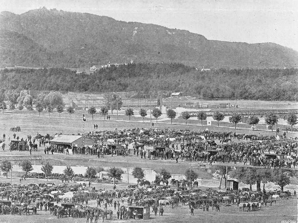 Mobilmachung 1915. Zählung der Pferde. Im Hintergrund rechts die für das Militär gebaute Brücke. (Foto: BAZ)