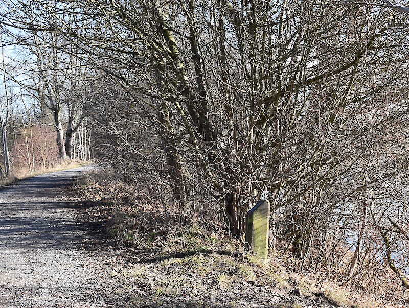 Der Distanzstein an der Uferböschung (Foto: weingartenexpo)