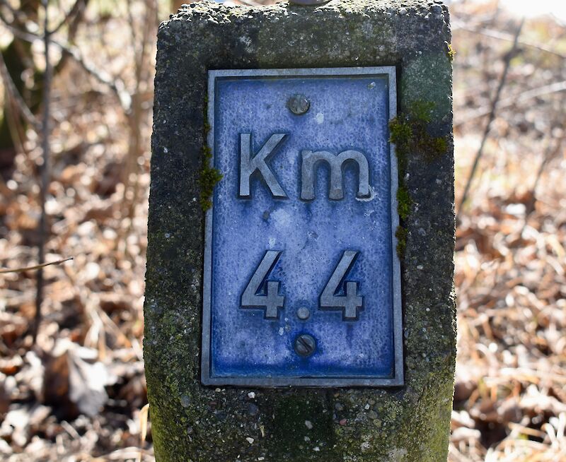4,4 km bis zur Mündung der Sihl in die Limmat beim Platzspitz. (Foto: weingartenexpo)
