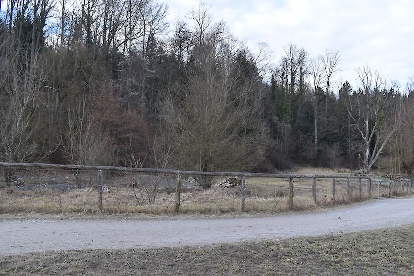 Abgegrenztes Biotopgelände am Waldrand (Foto: weingartenexpo)