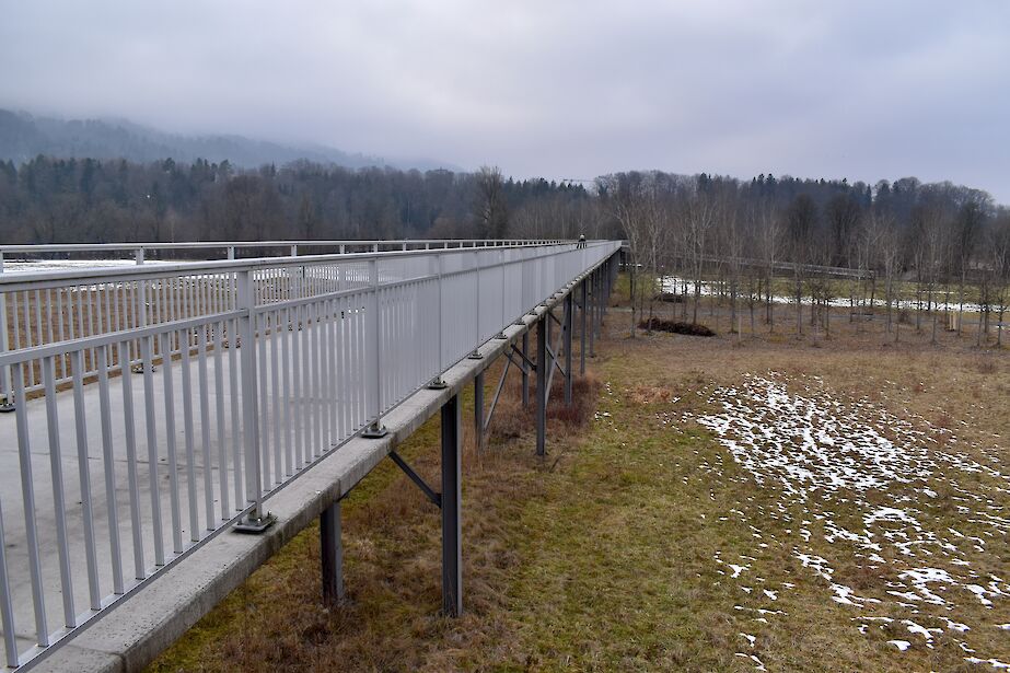 Der Steg 2026 (Foto: weingartenexpo)