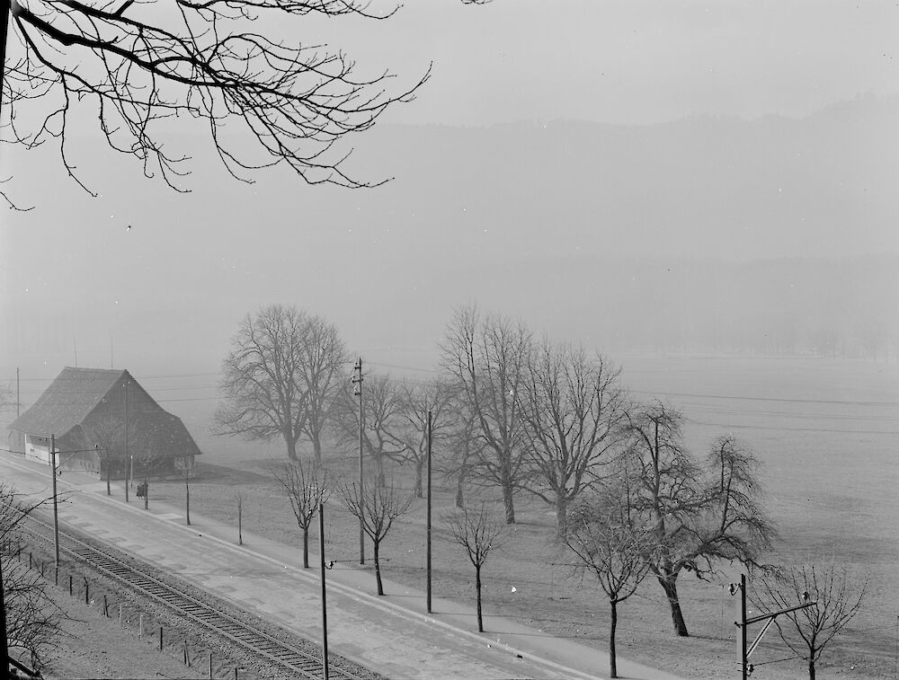 Allmend ohne Autobahn (Foto BAZ)