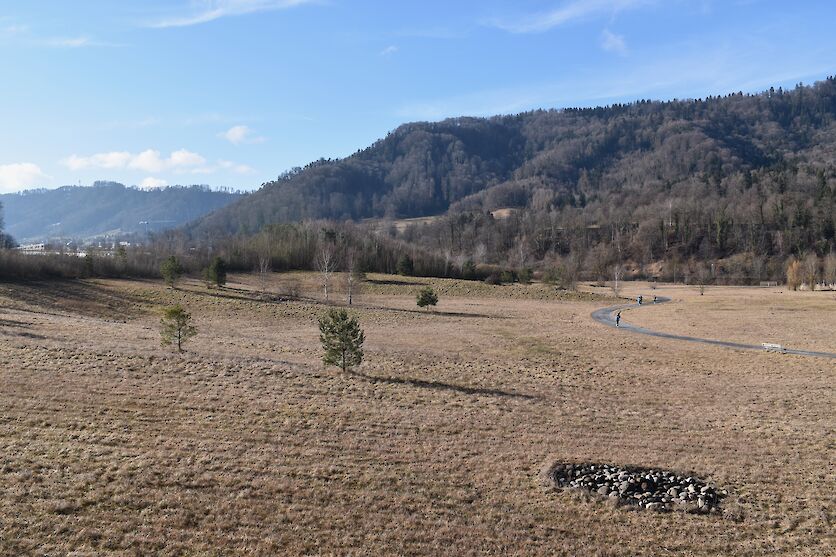 Verstreut in der Aushublandschaft wurden Steinhaufen für Reptilien angelegt. (Foto: weingartenexpo)