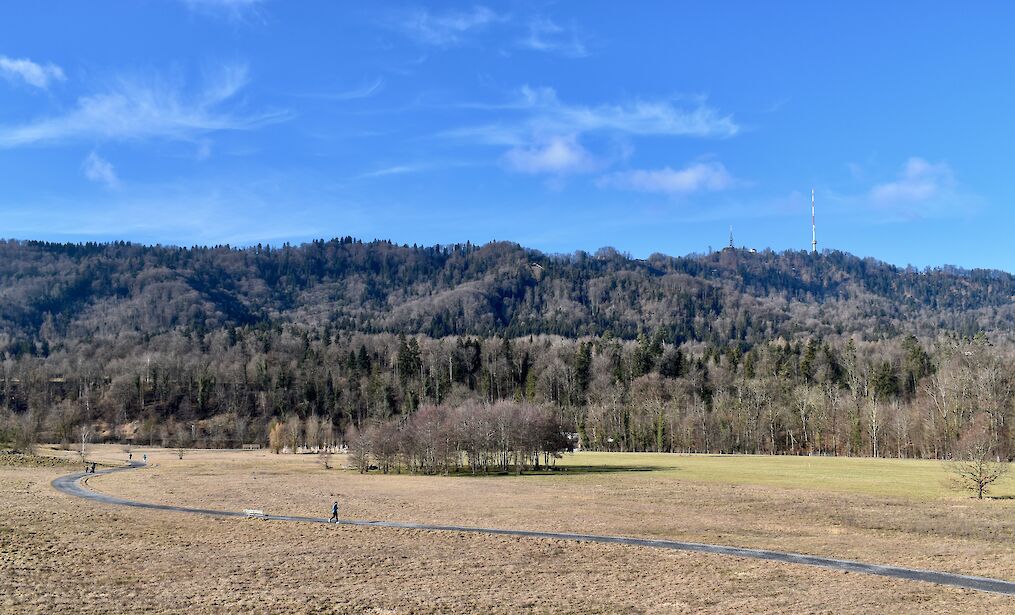 Baumgruppe in der flachen Allmendlandschaft (Foto: weingartenexpo)