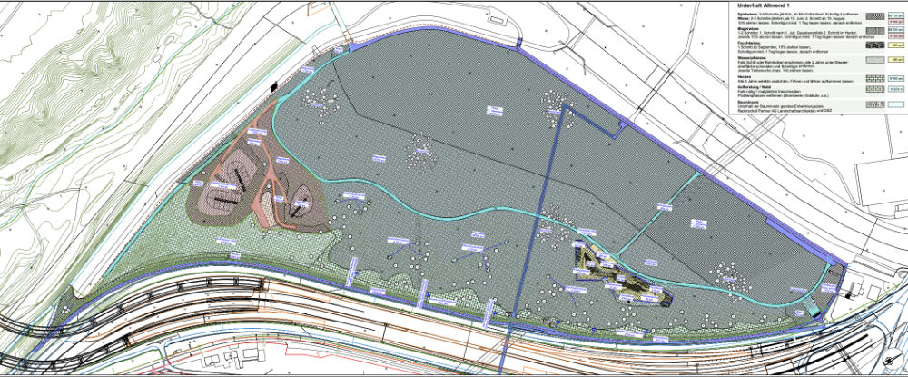 Auf diesem Plan ist die Struktur des Rückhaltebeckens (ganz links im orangen Bereich) zu erkennen. (Plan: Baudirektion Kanton Zürich)