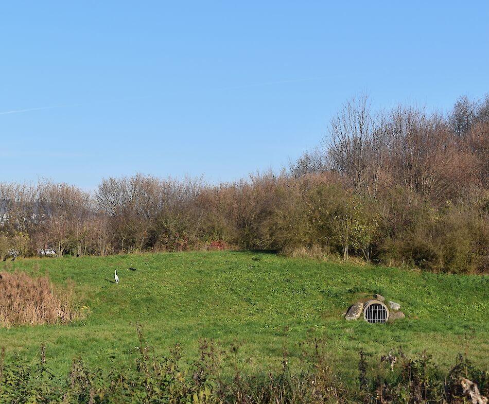 Rechts Röhre mit Gitter für das Abwasser (Foto: weingartenexpo)