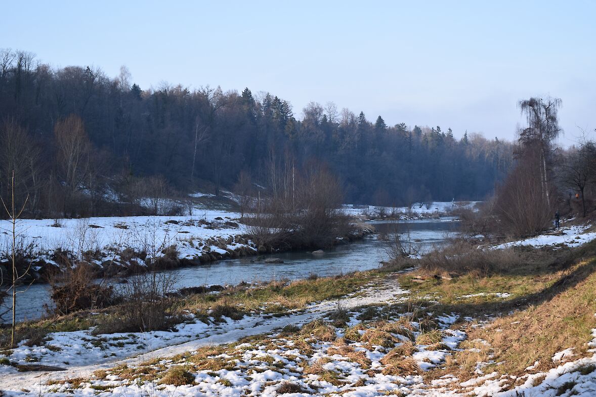Der Damm am linken Ufer ist entfernt, die Sihl fliesst in einem renaturierten Bett. (Foto: weingartenexpo)