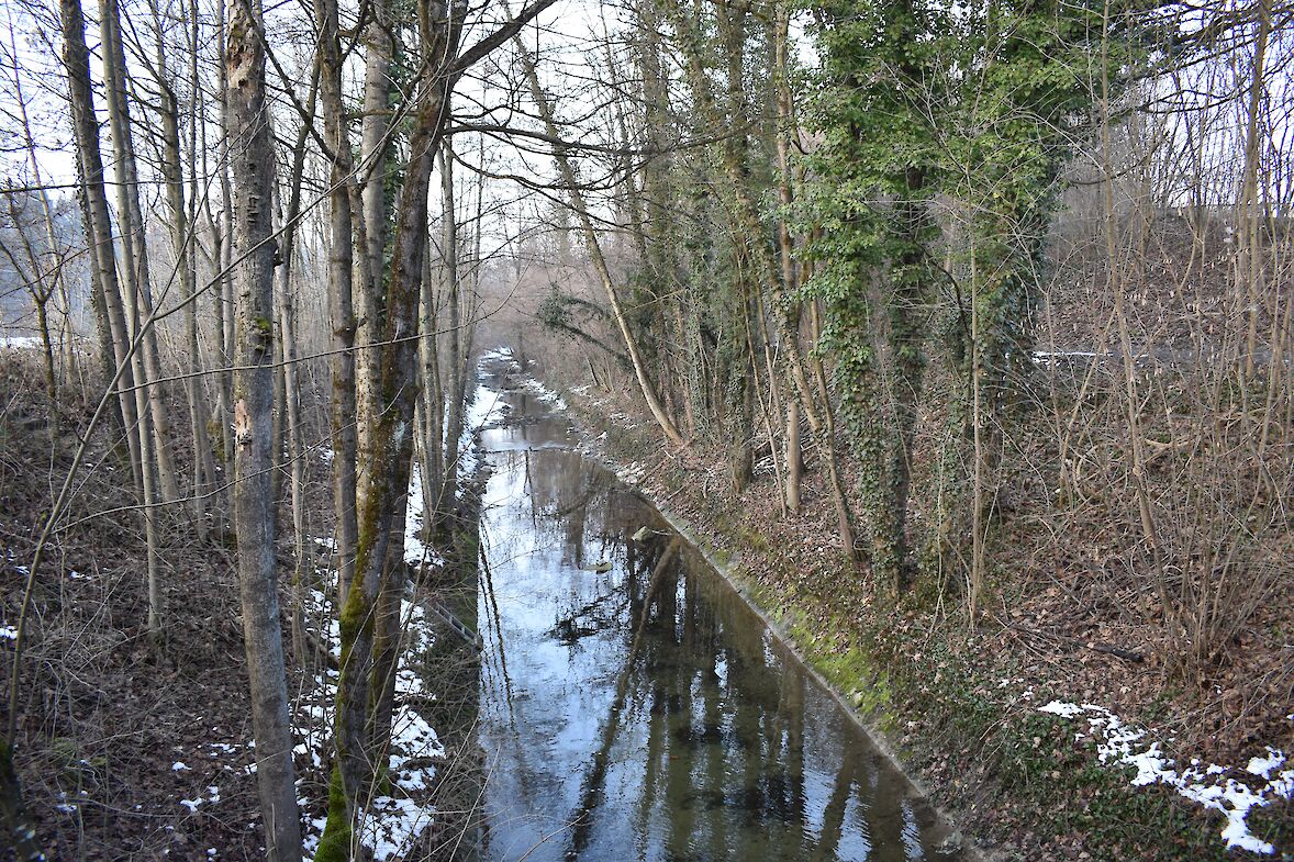 Der Kanal wurde 2025/2026 stärker freigelegt (Foto: weingartenexpo)