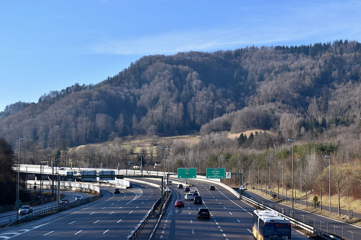 Der Höckler, das höher gelegene Gebiet der Allmend (in der Bildmitte), war früher Zielgebiet für die Artillerie und Geländer für Kampfübungen. Geschossen wurde von der Allmend her, die heute zum Teil von der Autobahn belegt ist und vom Gebiet des heutigen Friedhofes Manegg. (Foto: weingartenexpo)
