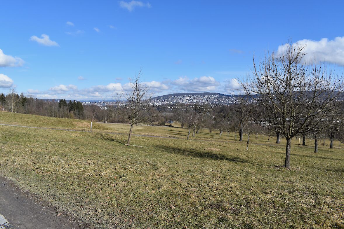 Von militärischer Nutzung ist nichts mehr zu sehen. Hingegen sind in Anlehnung der früheren Nutzung als landwirtschafliches Gut wieder Obstbäume angepflanzt. (Foto: weingartenexpo)